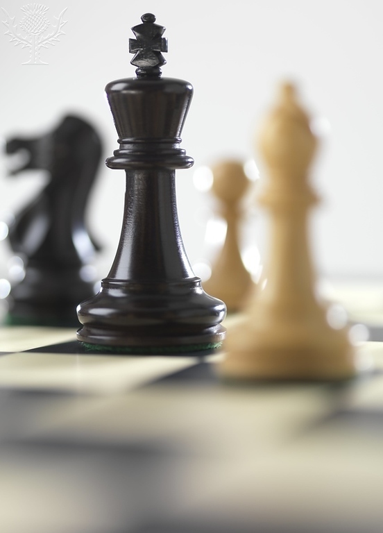 In focus is a black King. Out of focus to the King's left is the black Knight. To the King's right in the background is a white Pawn and out of focus in front of the King is the white Bishop.